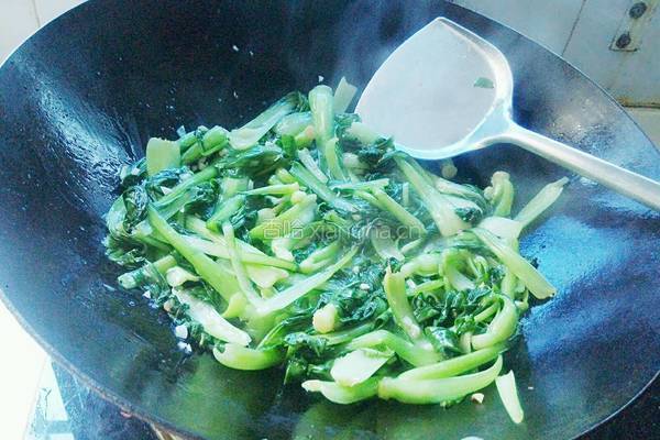 蒜蓉小青菜的做法图解8