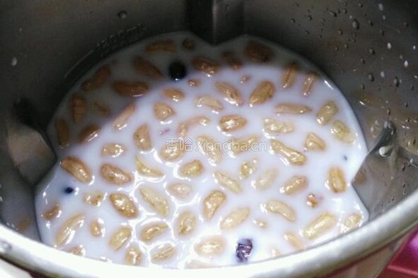 花生牛奶露的做法图解2