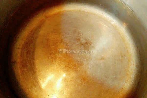 传统广式皮蛋瘦肉粥的做法图解5