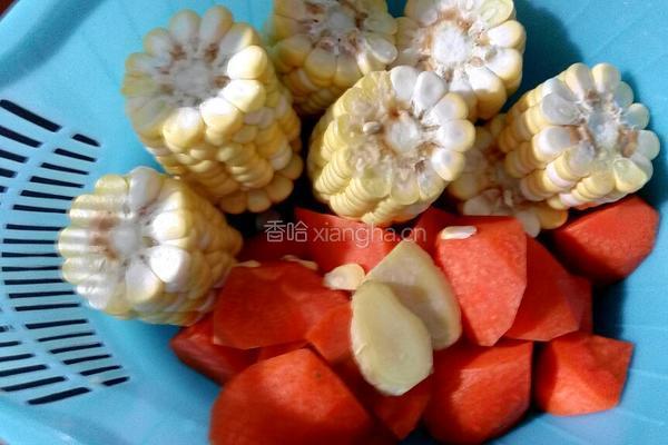 粉葛排骨边汤的做法图解2