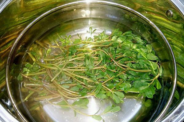 马齿苋蒜香鸡蛋饼的做法图解2