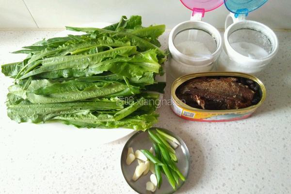 豆豉鲮鱼油麦菜的做法图解1
