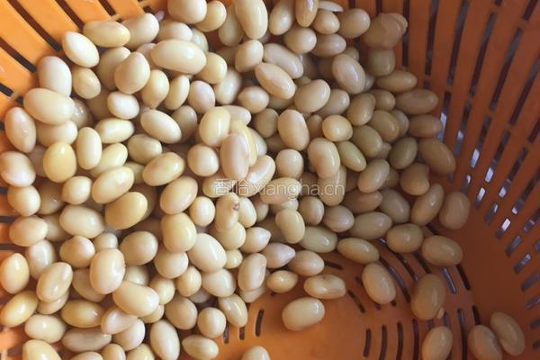 娟姐豆腐花的做法图解1