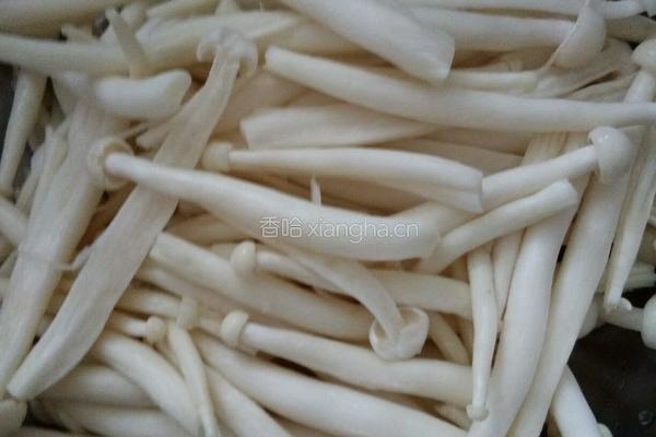 水煮鱼片的做法图解5