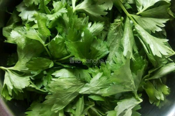 凉拌芹菜叶的做法图解1