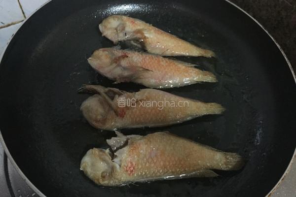 香煎马头鱼的做法图解4