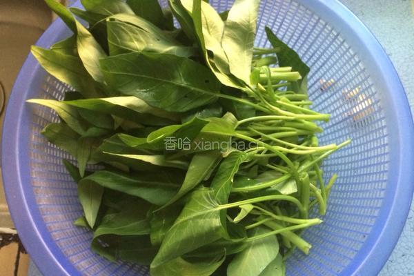 蒜香空心菜的做法图解2
