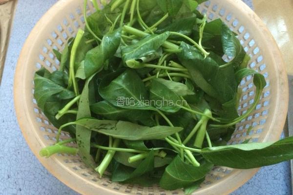蒜香空心菜的做法图解4