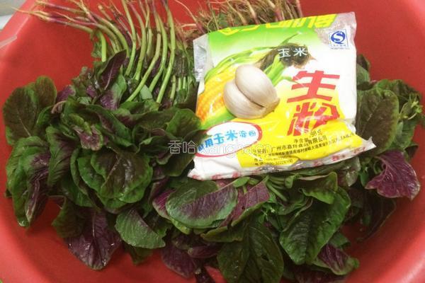 蒜香苋菜的做法图解1
