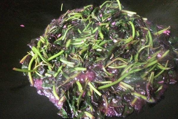 蒜香苋菜的做法图解8