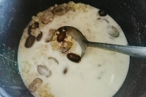 牛奶燕麦粥的做法图解6