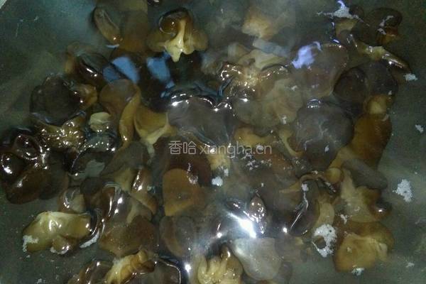 凉拌黑木耳的做法图解3