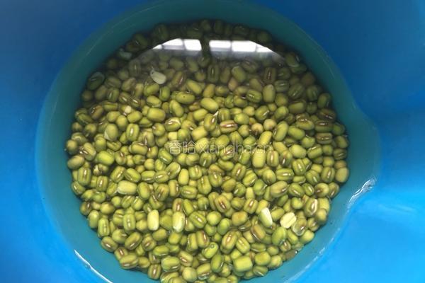 山黄皮煲绿豆海带汤的做法图解1