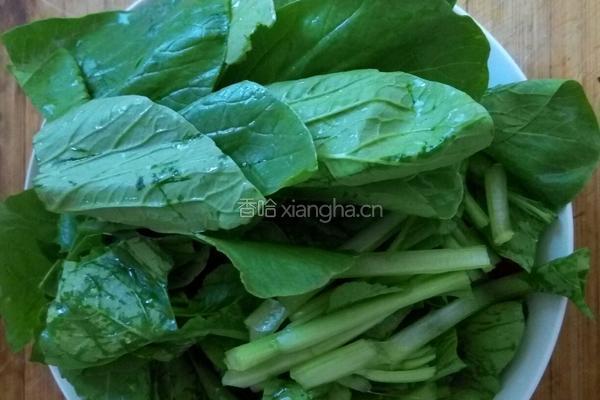 青菜豆腐汤的做法图解3