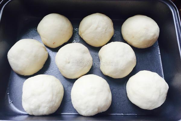 养颜红豆小面包的做法图解9