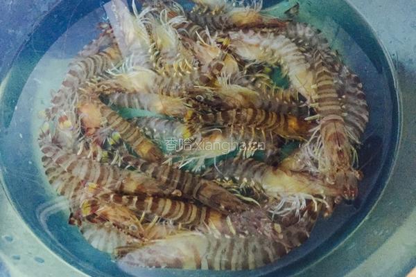 葱油鲜蛏九节虾的做法图解2