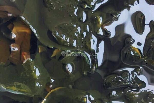 凉拌海蜇丝的做法图解3
