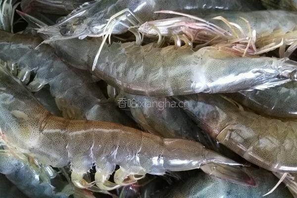 焗虾的做法图解4