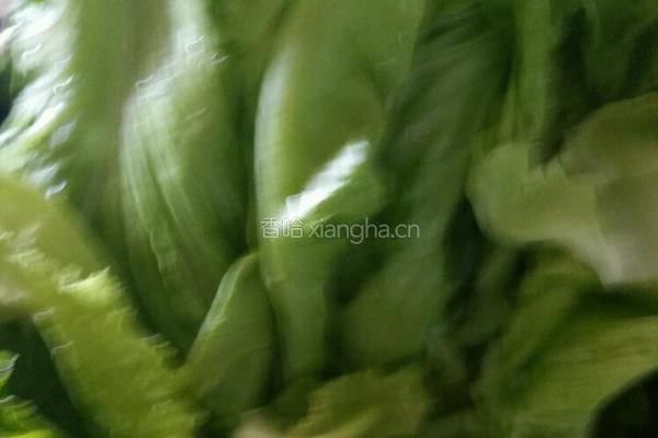 油淋生菜的做法图解1