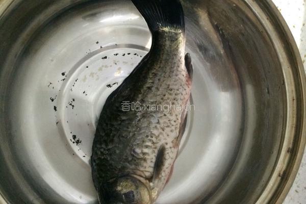 家常红烧鲫鱼的做法图解1
