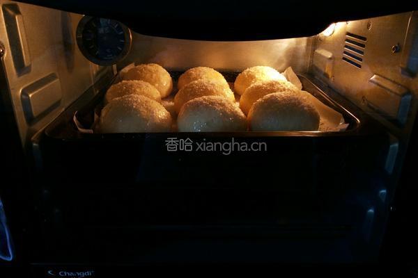 淡奶油椰蓉小餐包的做法图解12