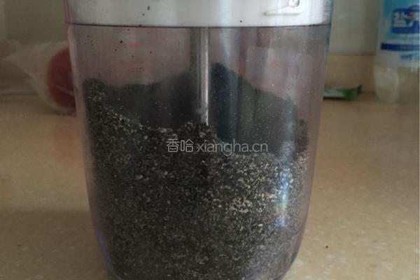 黑芝麻糊的做法图解4