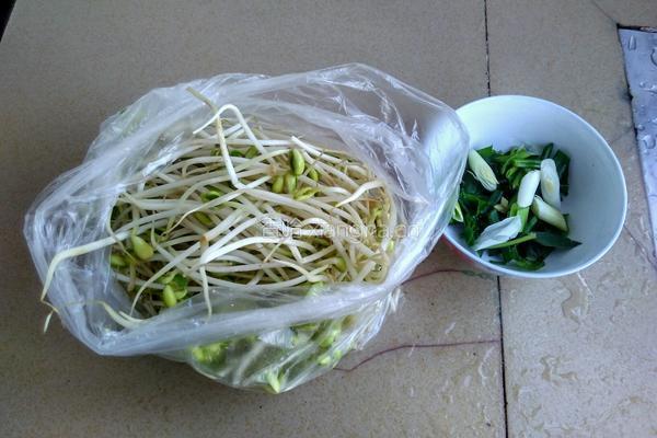 凉拌黄豆芽的做法图解1