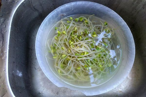 凉拌黄豆芽的做法图解4
