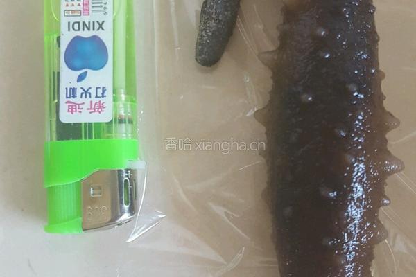 泡发淡干海参的做法图解7
