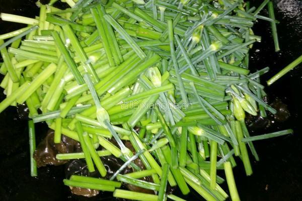 韭菜苔炒木耳的做法图解4