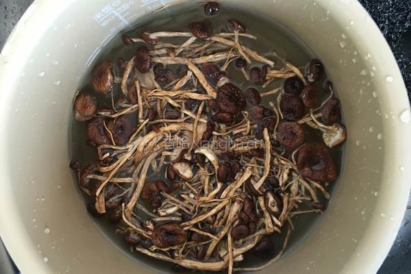 茶树菇炖鹅肉的做法图解1