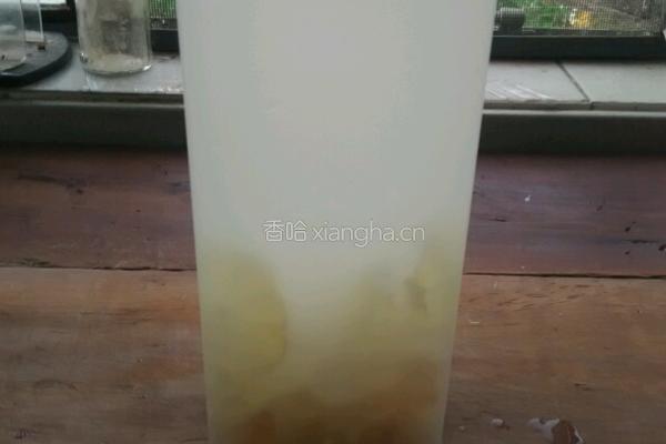 荔枝脉动饮品的做法图解4