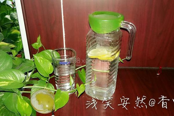 柠檬茶的做法图解5