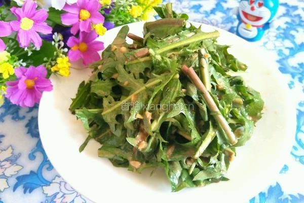 凉拌苦菜