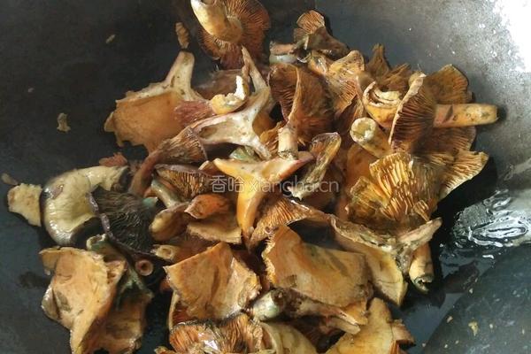 枞树菌瘦肉汤的做法图解3