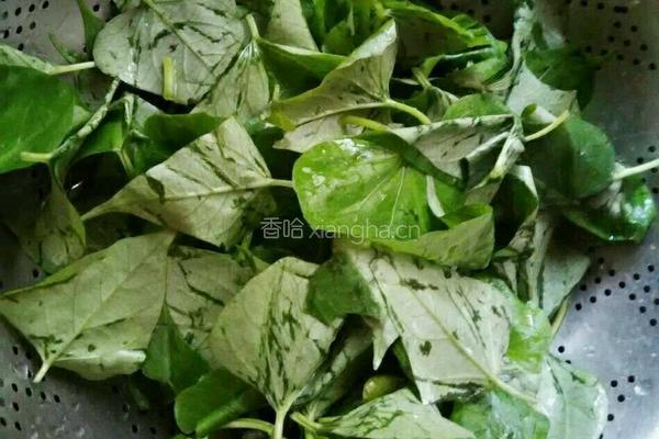 红薯叶馍的做法图解2