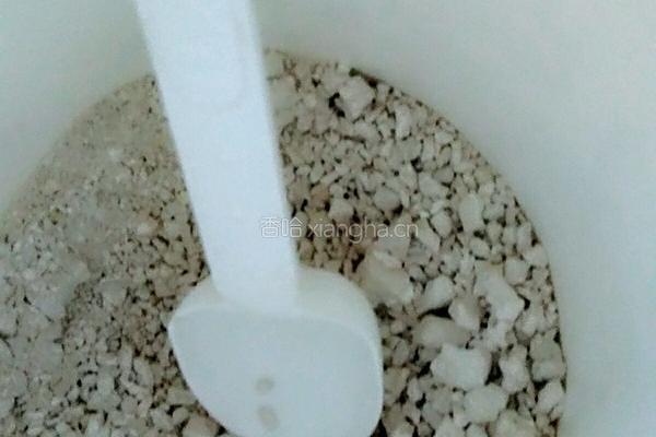 闽南煎果的做法图解2