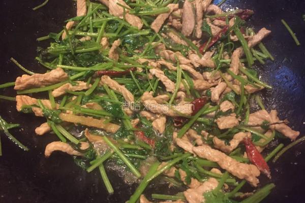 香辣肉丝的做法图解5