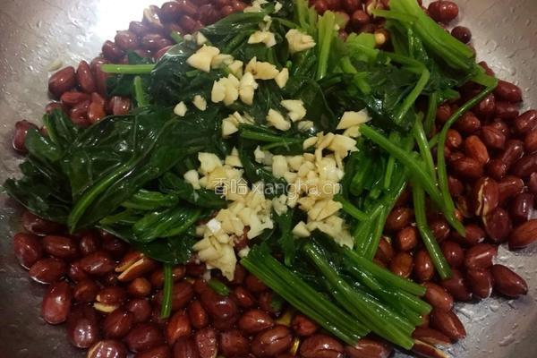 果仁菠菜的做法图解4