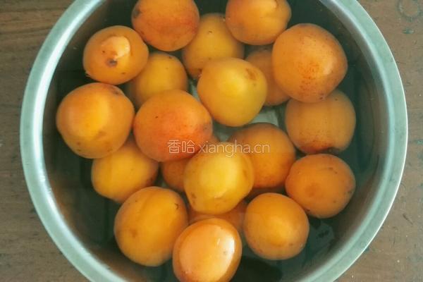杏罐头的做法图解3