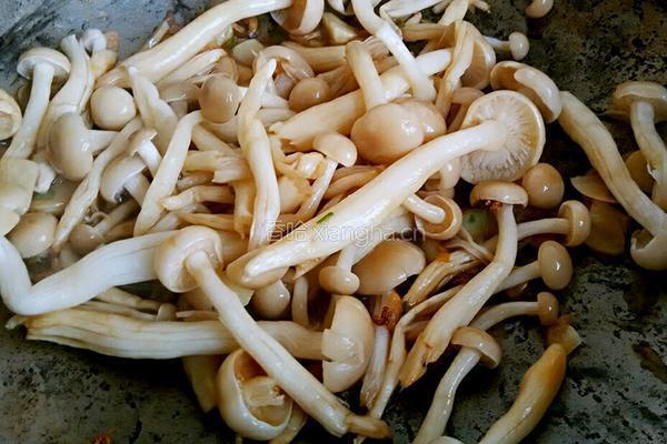 蟹味菇蛋花紫菜汤的做法图解5
