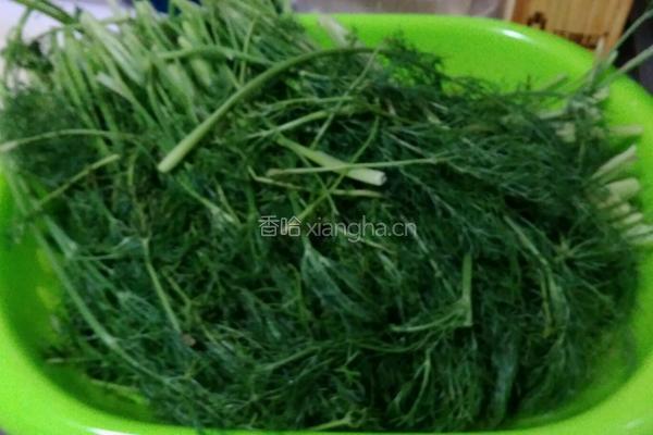 猪肉茴香馅包子的做法图解1