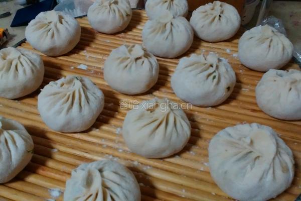 猪肉茴香馅包子的做法图解9