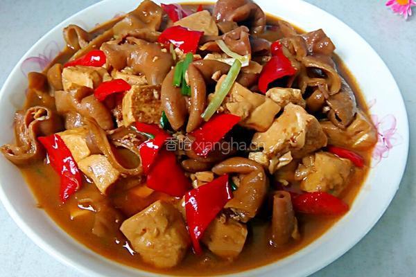 大肠炖豆腐的做法图解10