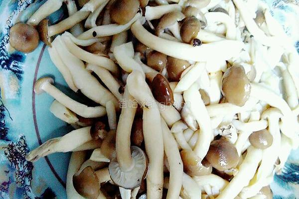 清炒蟹味菇的做法图解2