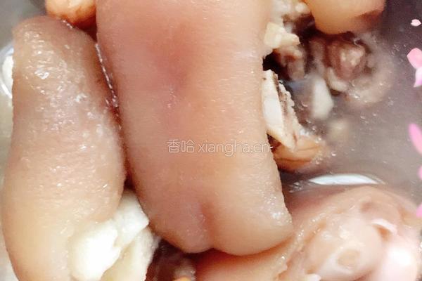 花生炖猪蹄（孕妈宝妈食谱）的做法图解8