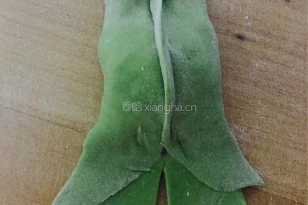 金鱼蒸饺的做法图解8