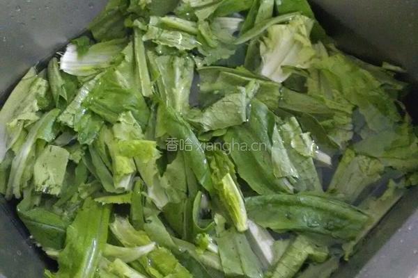 蒜茸油麦菜的做法图解2