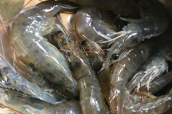 海鲜鸡粥的做法图解3