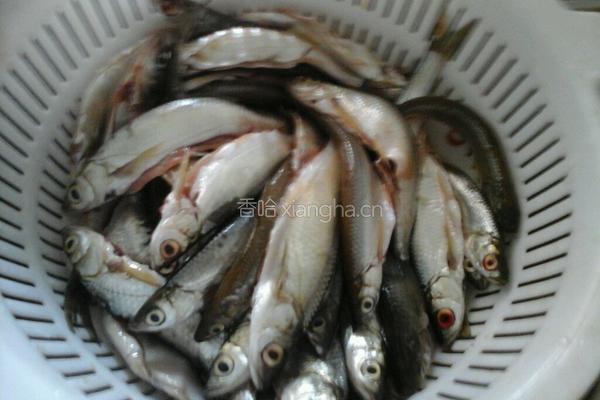 怪味小杂魚的做法图解1
